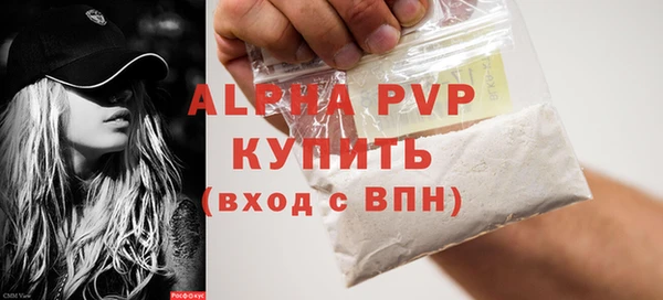 индика Белокуриха
