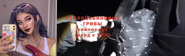 гашик Белоозёрский