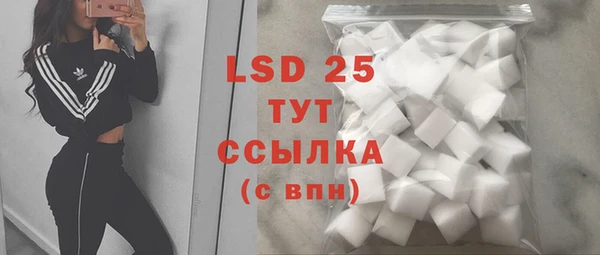 индика Белокуриха