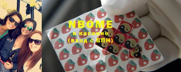 индика Белокуриха