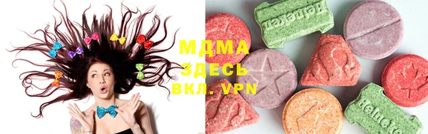 индика Белокуриха