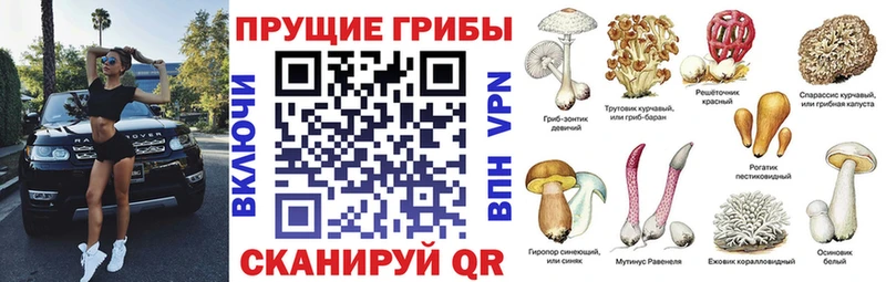 Псилоцибиновые грибы ЛСД  Елизаветинская 