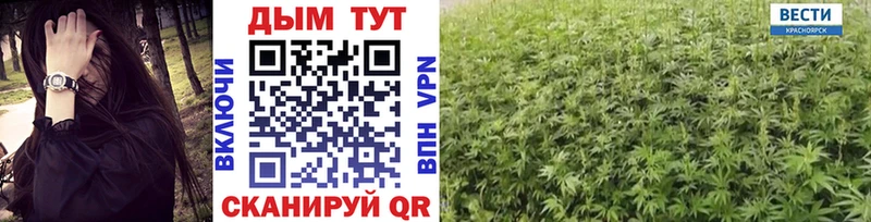 Шишки марихуана SATIVA & INDICA  KRAKEN как зайти  Елизаветинская 